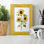 Sunflower Trio I, reproduction d'art encadrée-66885247-66885220