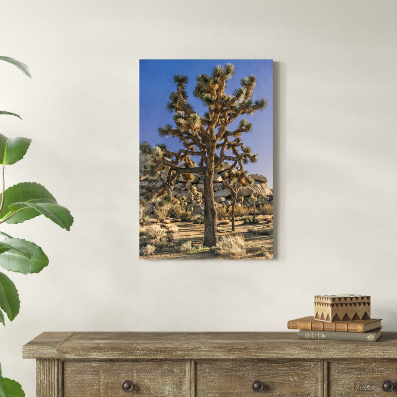 Vue de Joshua Tree II, H 30 po x l 20 po x P 1,25 po