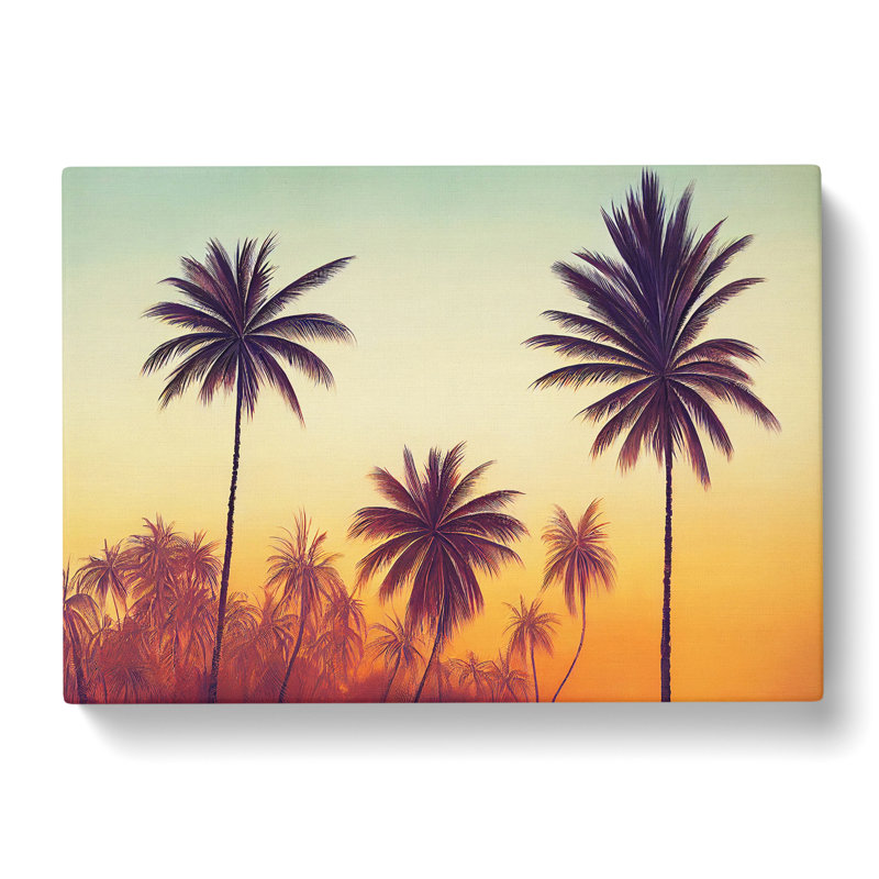 Stimulating Palm Trees - Wrapped Canvas, 40cm H x 60cm W x 3cm D