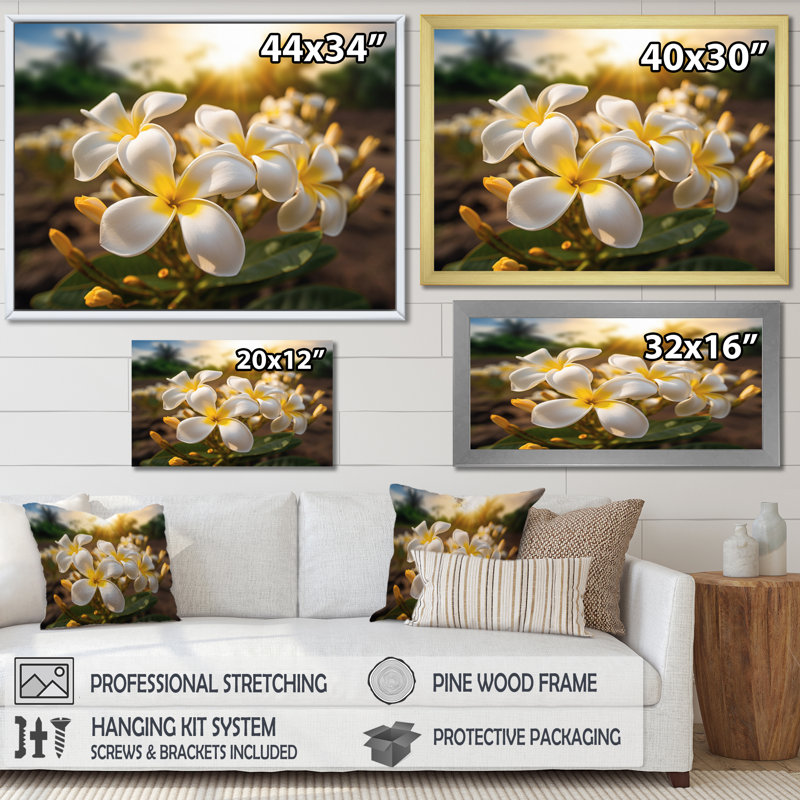 Jaune jaune blanc exotique Plumeria Blooms II sur toile, 16" H x 32" W, Cadre flottant noir