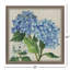 «Hydrangea Study», art encadré