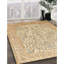 Beige oriental/Tapis décoratif grise Arely-1680594384