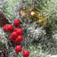 Couronne de Noël artificielle 24 po