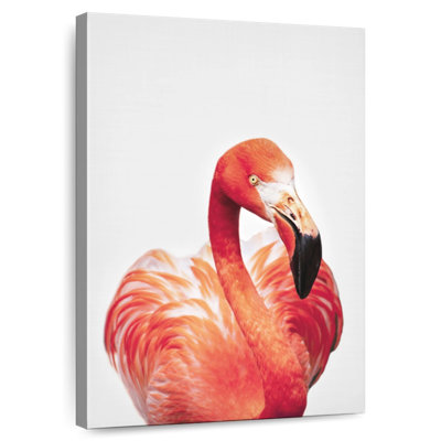 Brampt Blush Flamingo