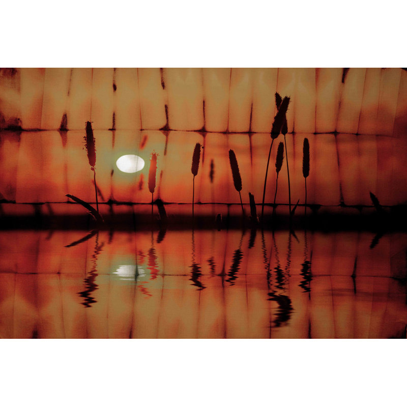 Parvez Taj - Wrapped Canvas Print, 41cm H x 61cm W