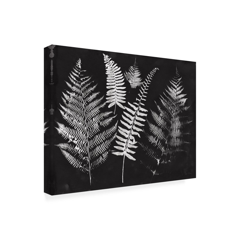 Œuvre sur toile noire, Rhin Piper Rhue, H 35 po x l 47 po