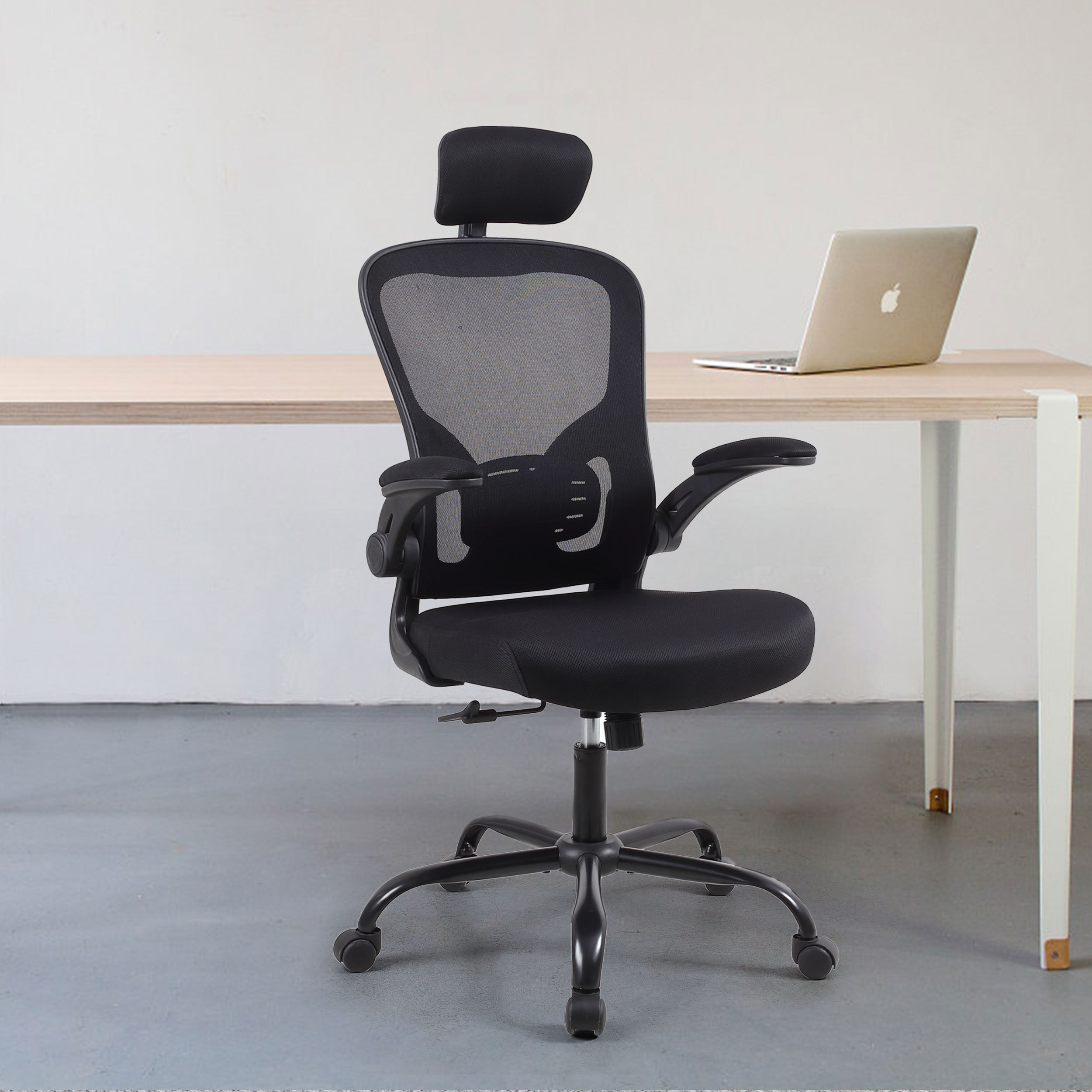 Inbox Zero Itziar Ergonomic Desk Chair Office Chair Home Office Mesh