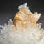 Scolecite on Stilbite from Nasik District, Maharashtra, India (284.1 Grams)