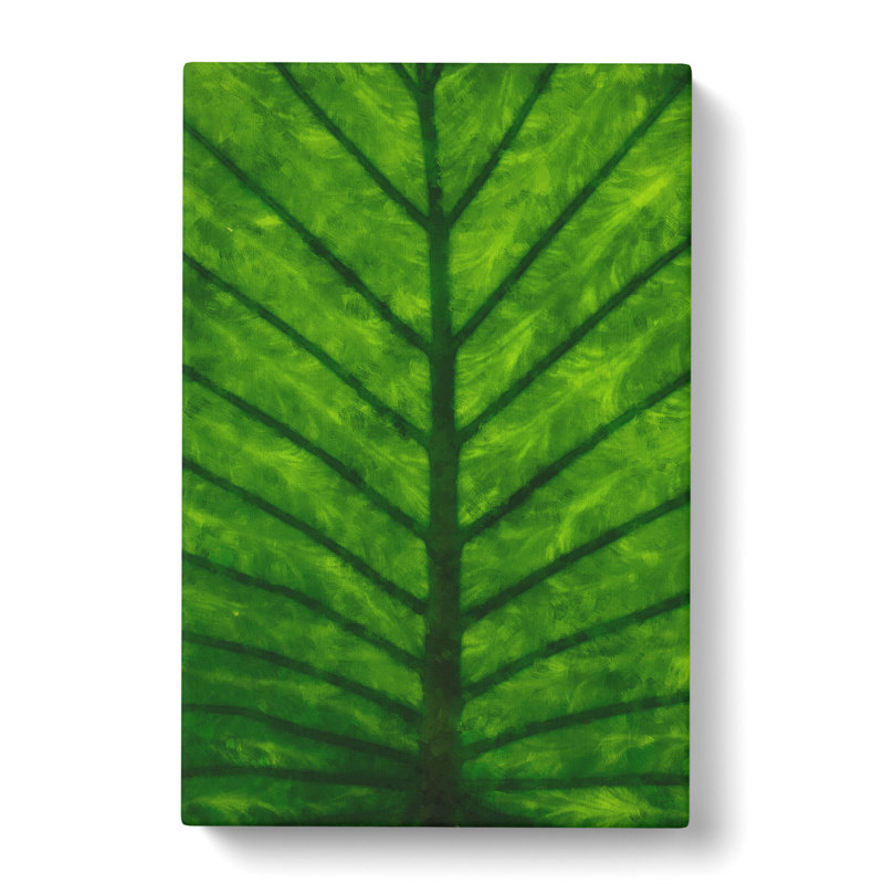 Green Leaf Lines - Wrapped Canvas Painting, 50cm H x 35cm W x 3cm D