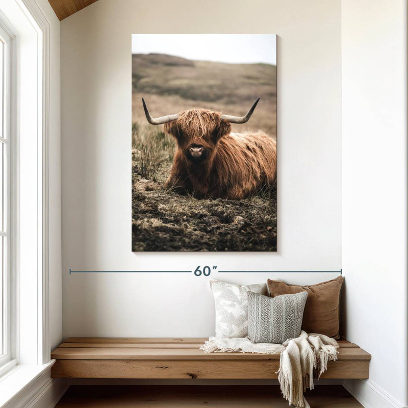 Brampt Still Highland Cow, H 48 po x l 32 po