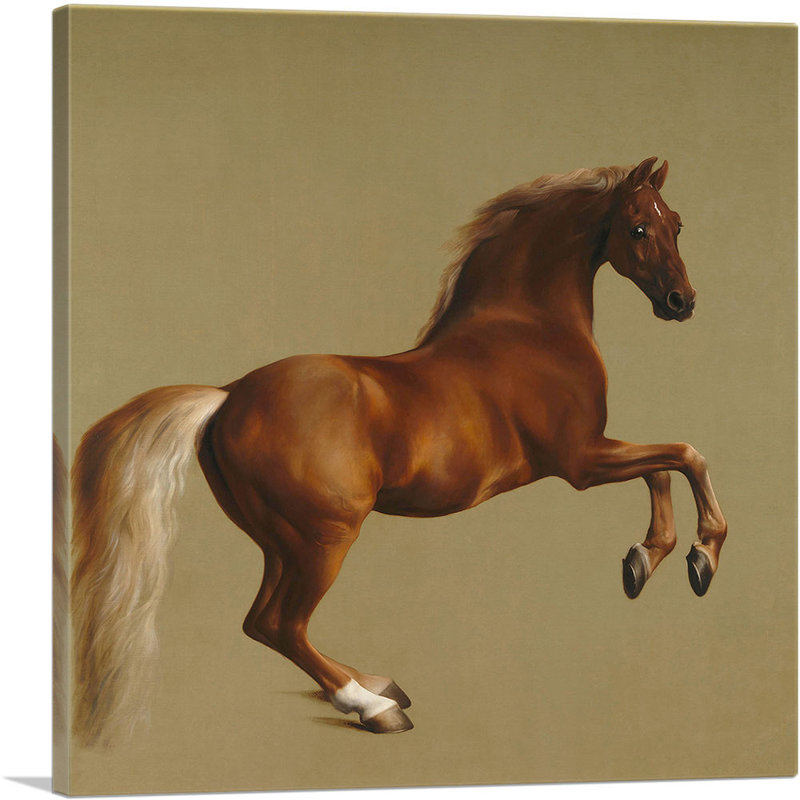 «Whistlejacket 1762» par George Stubbs, reproduction d'art sur toile tendue, H 36 po x l 36 po x P 0,75 po