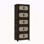 Armoire de rangement pliante latérale de 20 po de large, 5 niveaux, 19,69 po x 11,81 po x 50,00 po, bacs de rangement pliables avec porte magnétique, armoire de rangement en plastique avec roues-1941648572-1941648569