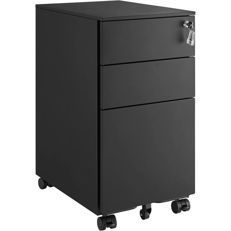Suveer 30 cm W 2 -Drawer Filing Cabinet, Black