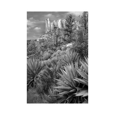Agave, Coffee Pot Rock Near Sedona, Arizona - Wrapped Canvas Print