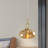 Figen Pendant Lights Kitchen Island Champagne Glass Gold Pendant Light Fixtures Adjustable Height Modern Pendant Lighting for Bedroom Dining Room (1 Pack)