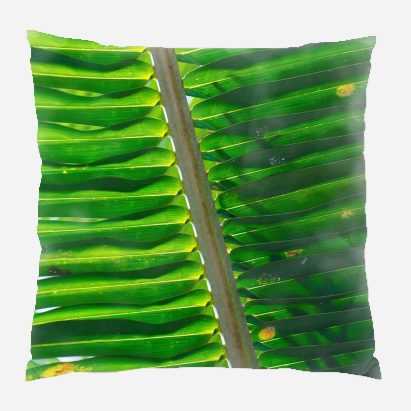 Backdrop Microsuede Reversible Throw Pillow