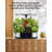 Yesurprise Growing Kit