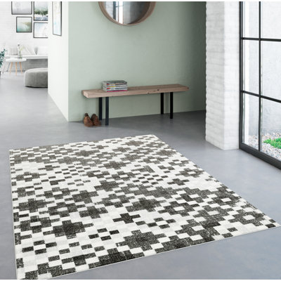 Rubie Machine Woven Grey Indoor Rug