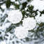 Ornements d'arbre de Noël en forme de pétale blanc avec boules en mousse et boule de neige en mousse pétillante décorations suspendues pour arbre-553764783