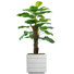Plante à feuillage artificiel 40 po Panama