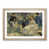Oak Framed selected