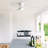 52" Modern Solid Wood Smart Dimmable Ceiling Fan With 3cct Led Lights, 6-speed Reversible Dc Motor, Timer, Remote & App Control-406241631