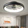 20'' Dianeshia Flush Mount Dimmable Ceiling Fan with LED Lights