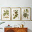 Feuilles antiques I - Impression sur mesure encadrée de qualité supérieure - 3 pièces