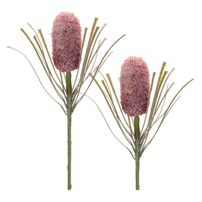 Protea Floral Stem