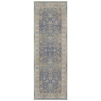 Matthei Oriental Indoor Rug