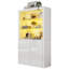 Glass Rectangle Accent Cabinet