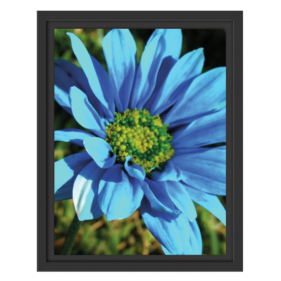 Gerahmtes Wandbild schöne blaue Blüte