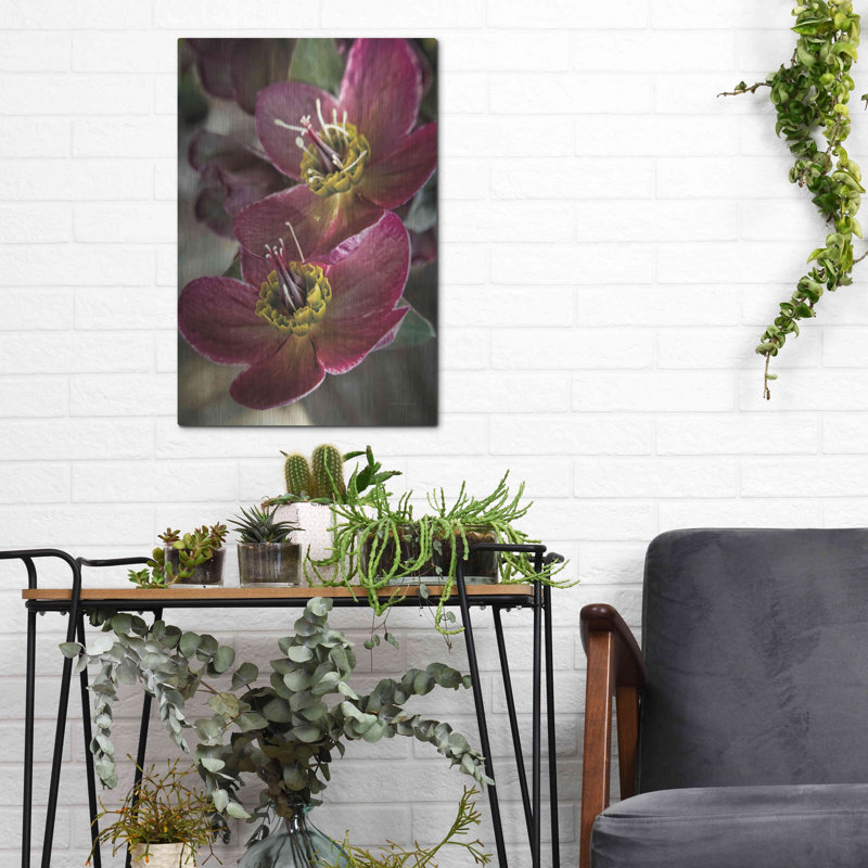 «Lenton Rose V» par Debra Van Swearingen, H 16 po x l 12 po