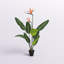 Palmier artificiel en pot Anali-611357210