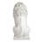 Lion of Florence Sentinel Statue