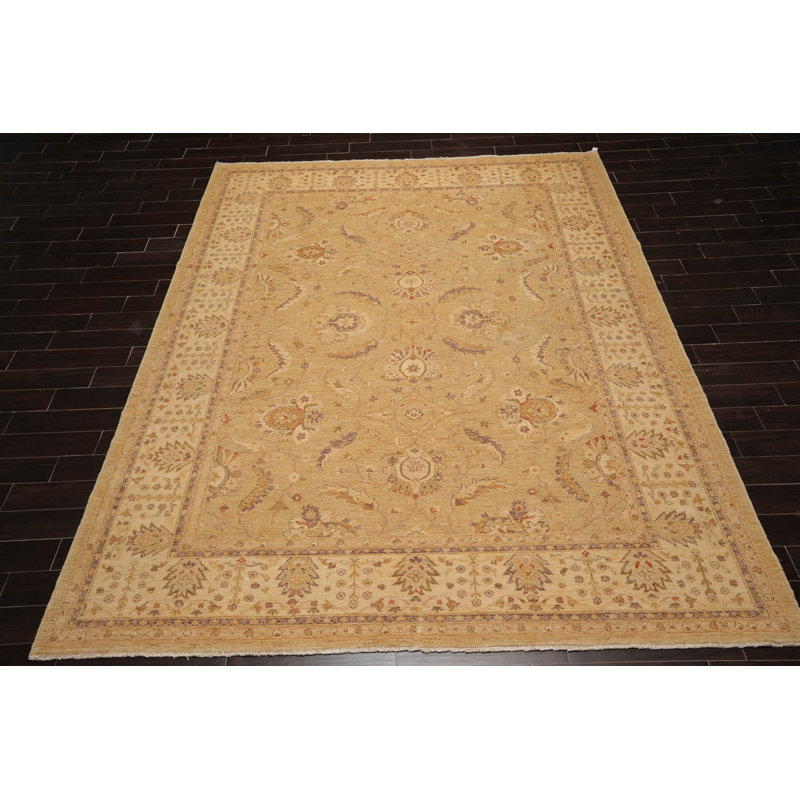 Tapis oriental oriental en laine noué à la main 9 pi 6 po x 11 pi 9 po Chobi Peshawar