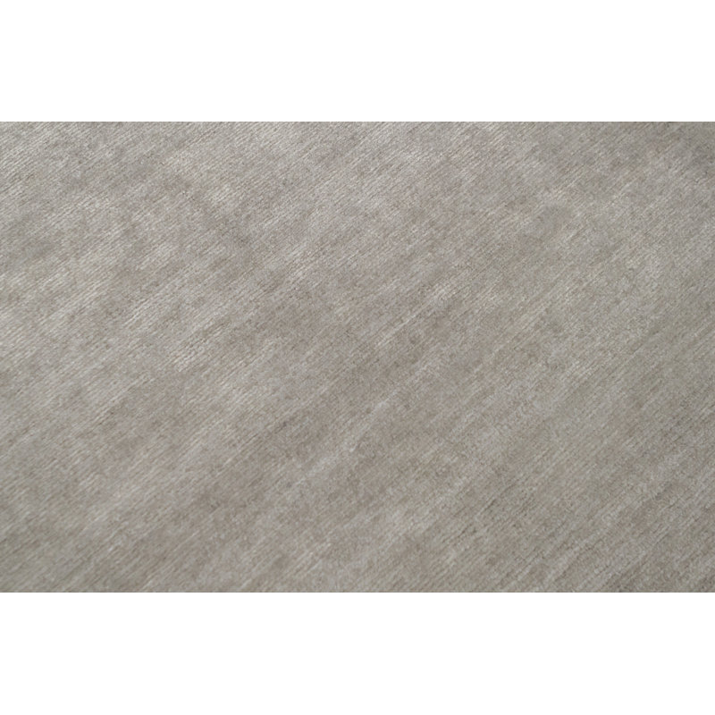 Area Rug in Gray
