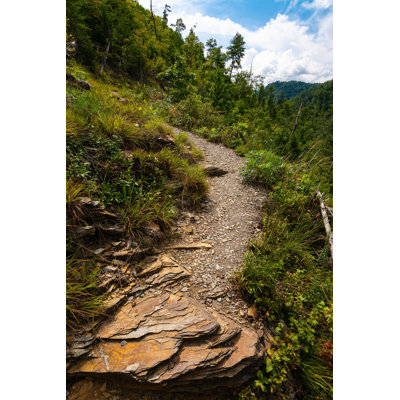 " Hatcher Mountain Trail "