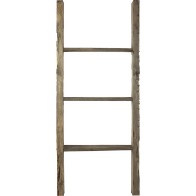 Échelle décorative Vintage Farmhouse Rung