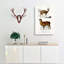Alpaca and Antelope - Wrapped Canvas-55368621