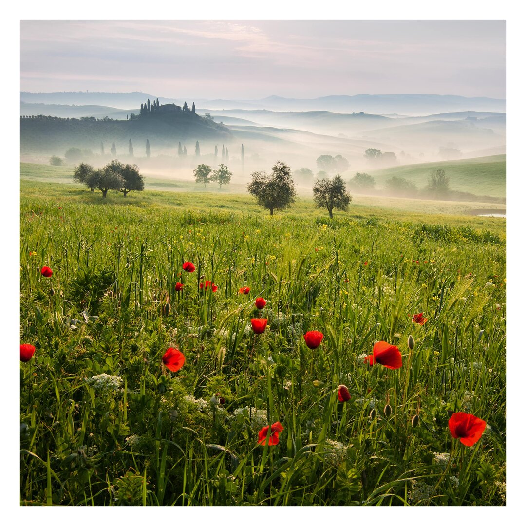 Matt Fototapete Toskana Frühling 2,4 m x 240 cm