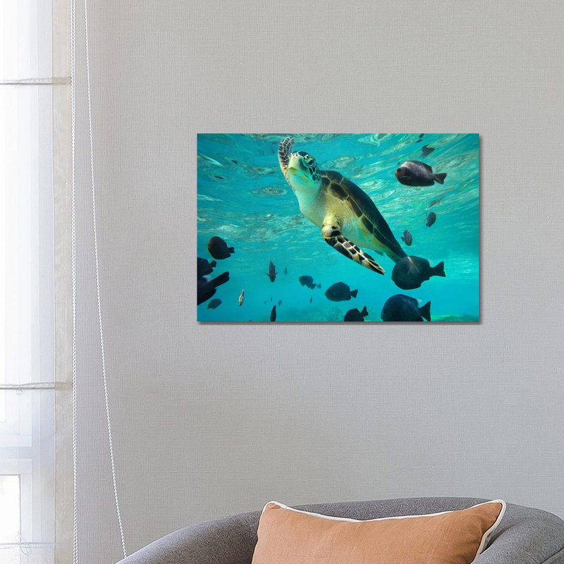 Green Sea Turtle, Balicasag Island, Philippines III by Tim Fitzharris - Wrapped Canvas Print