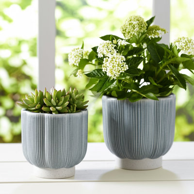 Ensemble de 2 pots décoratifs modernes Aedin
