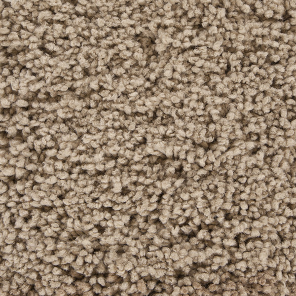 Hokku Designs Rivard Rug - Wayfair Canada