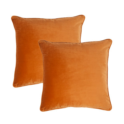 Velvet Throw Pillow