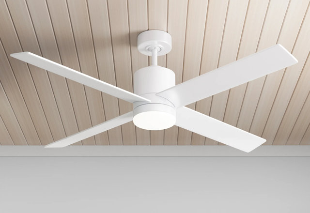 Best of Ceiling Fans