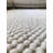 Isleta Indoor / Outdoor Rug-1796144987