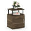 Braboy End Table-499083869