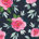 Navy/Pink