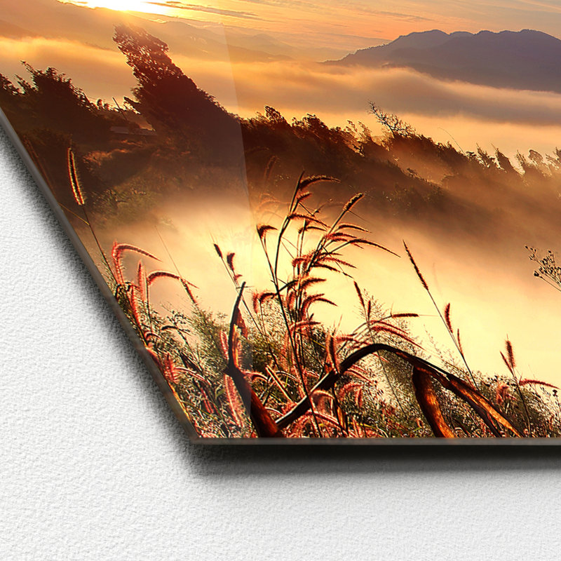 Orange Field - No Frame Print on Glass, 50cm H x 125cm W x 1.4cm D